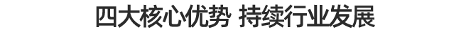 四大核心優勢 開啟智能新時代